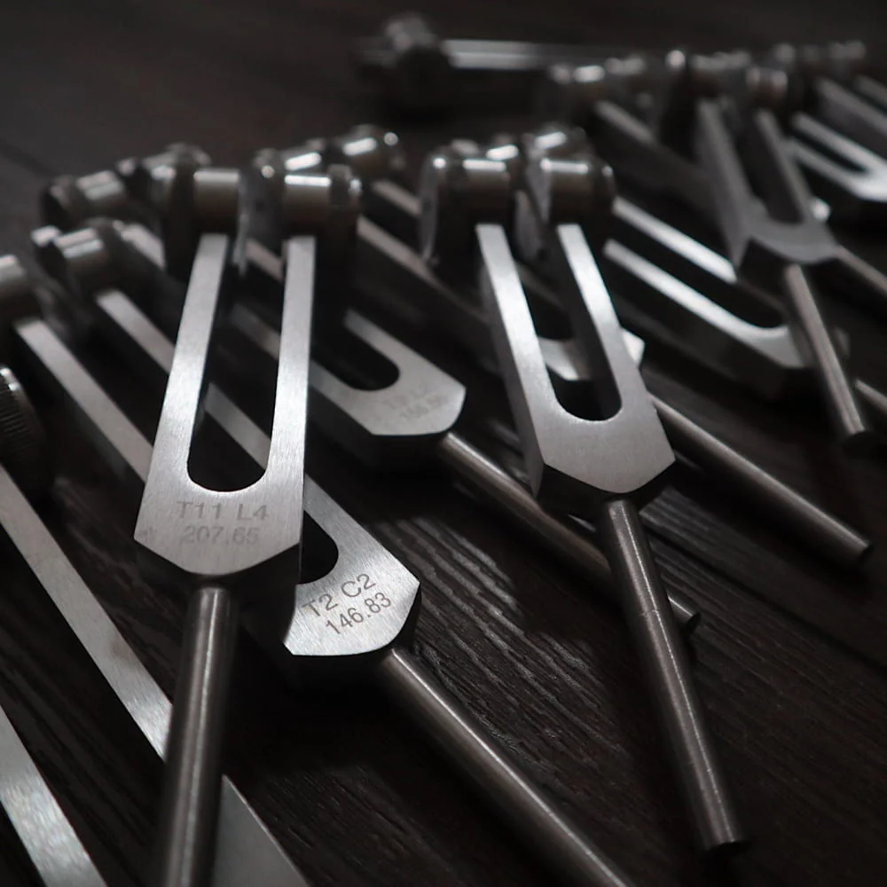 12pc Song of the Spine Biofield Tuning Fork Set - Image 3