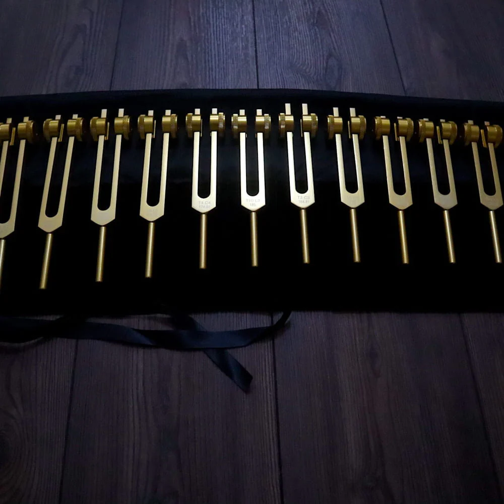 12pc Song of the Spine Biofield Tuning Fork Set - Image 4