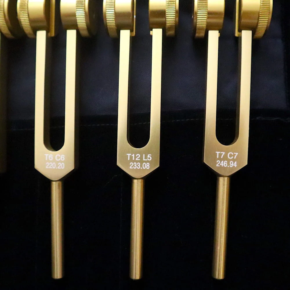 12pc Song of the Spine Biofield Tuning Fork Set - Image 5