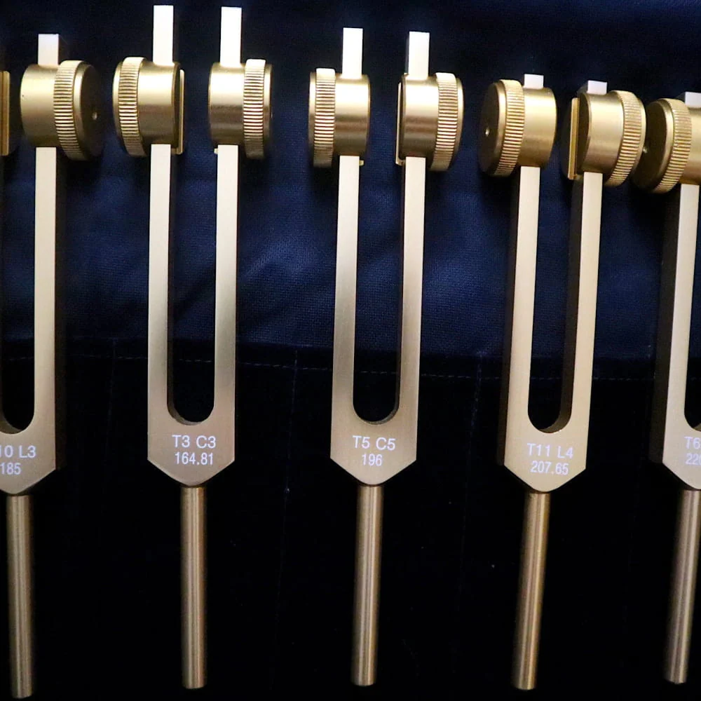 12pc Song of the Spine Biofield Tuning Fork Set - Image 6