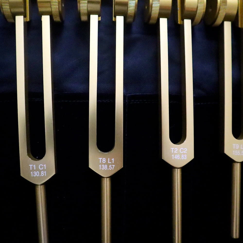 12pc Song of the Spine Biofield Tuning Fork Set - Image 7