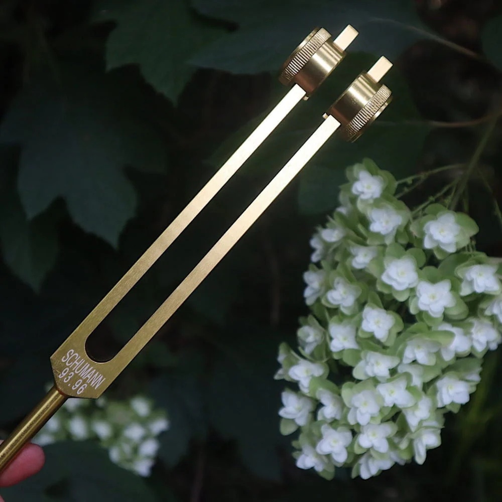 93.96 Hz Earth Tuning Fork - Schumann Frequency Sound Bath - Image 10