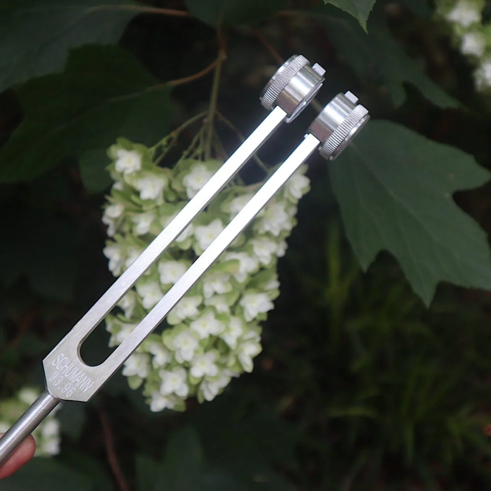 93.96 Hz Earth Tuning Fork - Schumann Frequency Sound Bath - Image 9