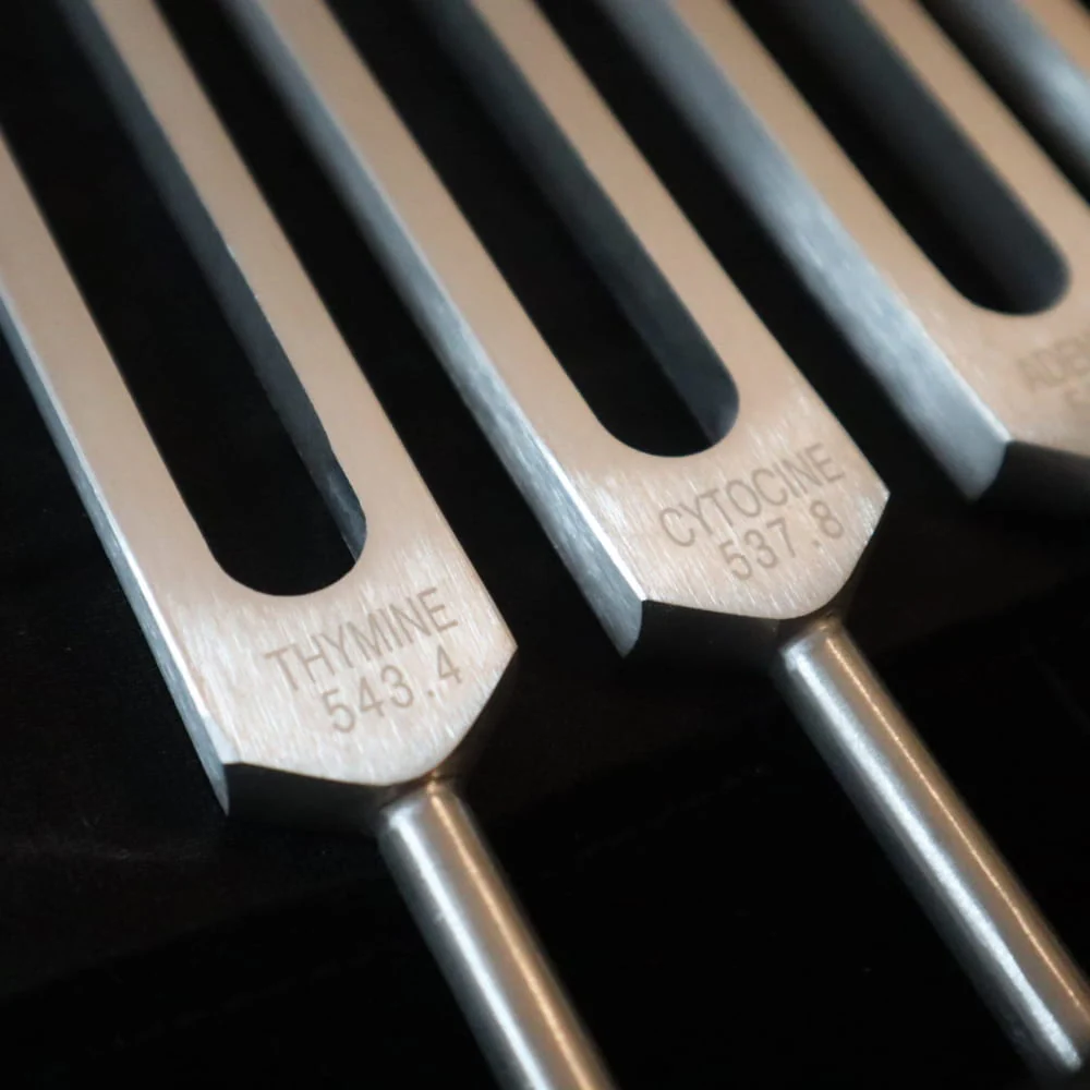 DNA Nucleotide Tuning Fork set for Biofield Therapy - 4pc - Image 3