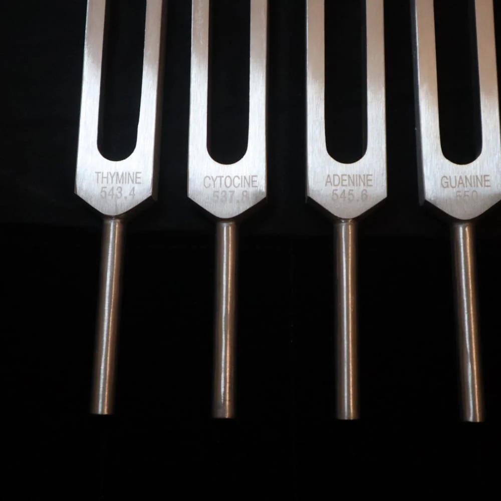 DNA Nucleotide Tuning Fork set for Biofield Therapy - 4pc - Image 5