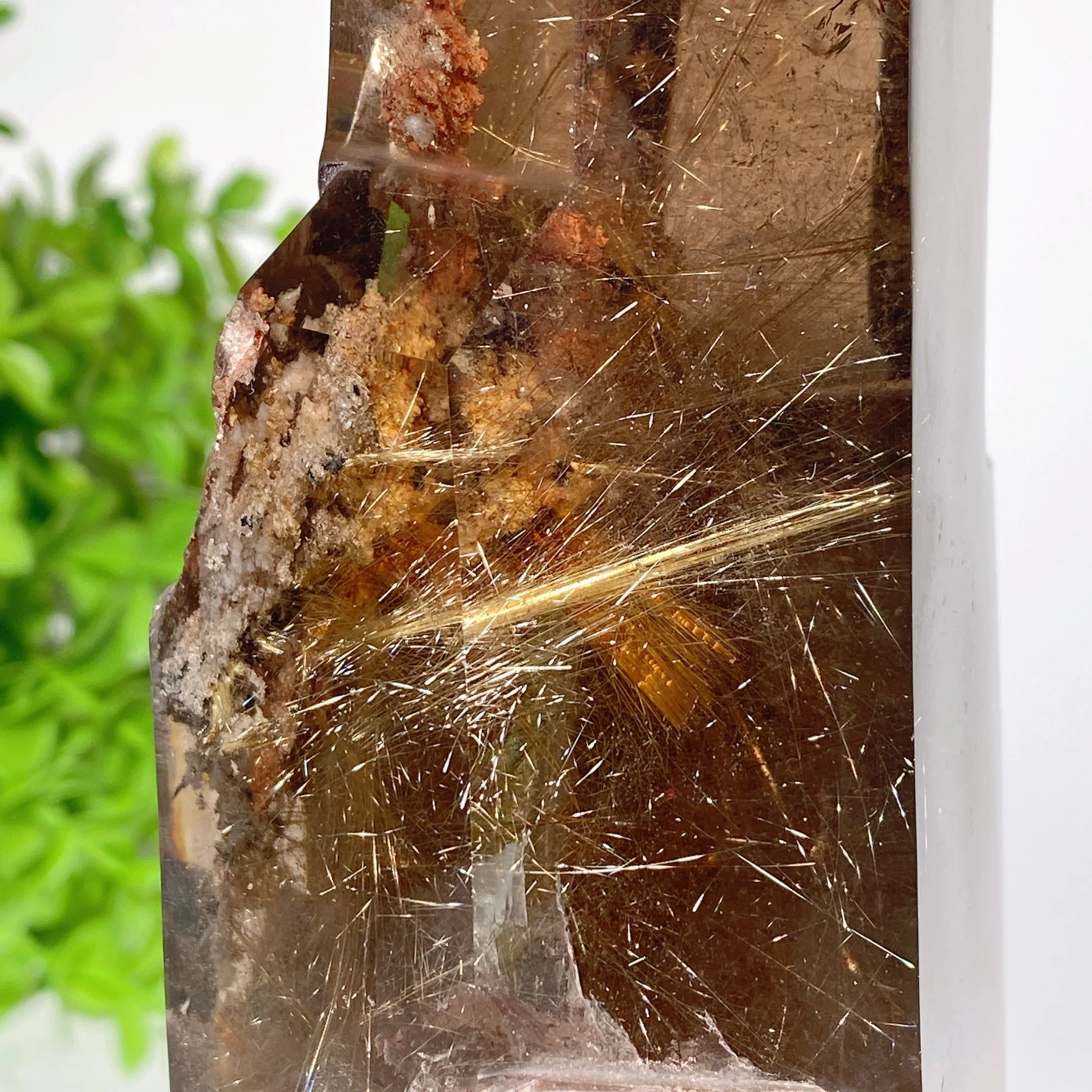18cm Golden Rutilated Quartz Crystal Tower with Stand - Image 5