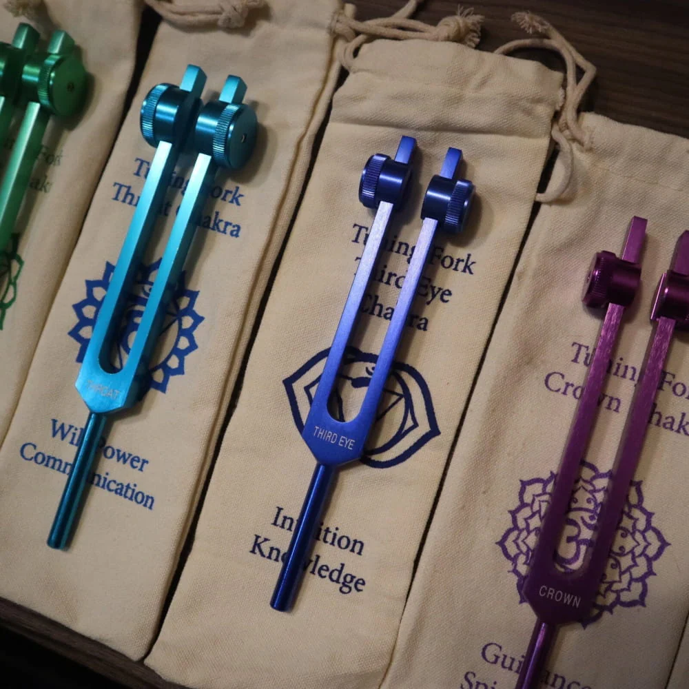 23pc Human Biology & Chakra Tuning Fork Set - Sound Vibration - Image 3