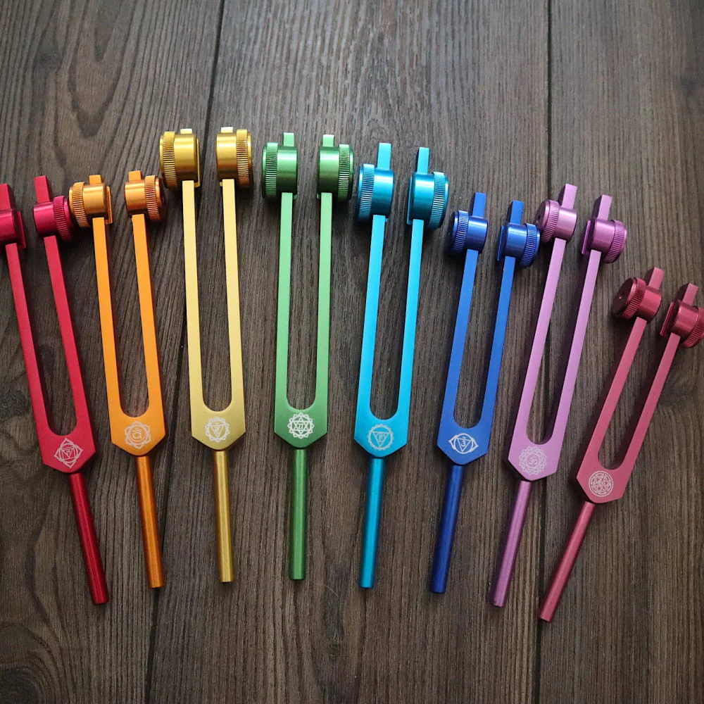 23pc Human Biology & Chakra Tuning Fork Set - Sound Vibration - Image 4