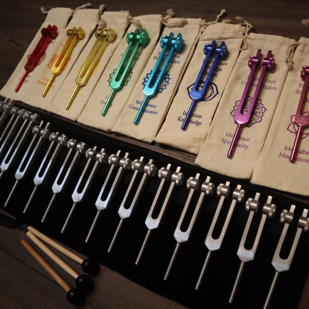 23pc Human Biology & Chakra Tuning Fork Set - Sound Vibration - Image 8
