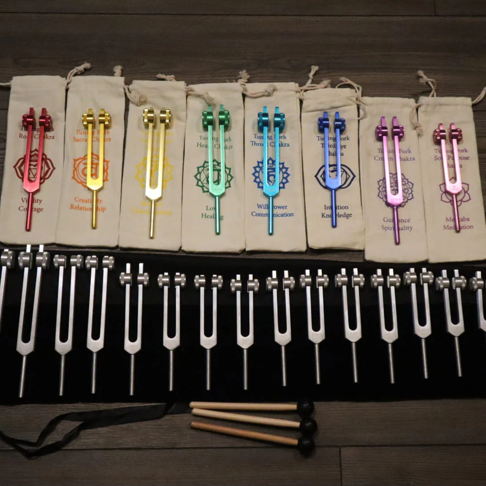 23pc Human Biology & Chakra Tuning Fork Set - Sound Vibration - Image 9