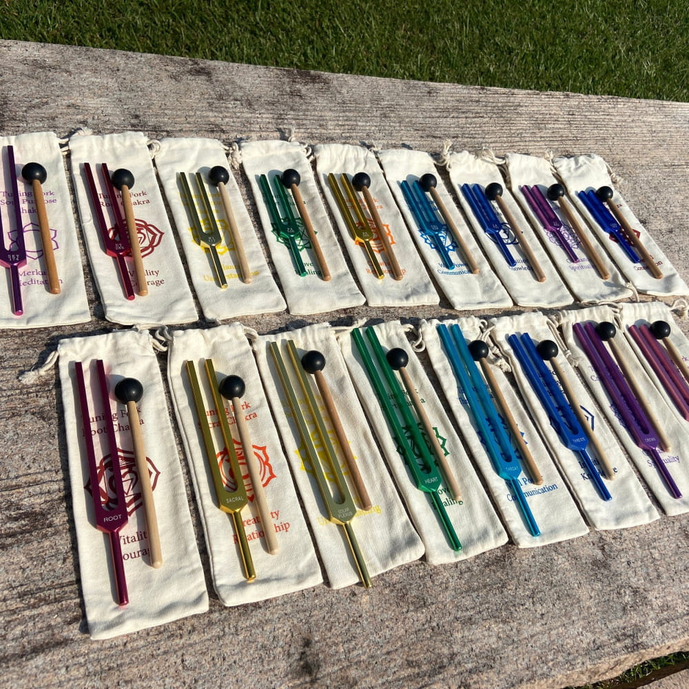 17-Piece Solfeggio Chakra Tuning Fork Set with Bags & Strikers - Image 3